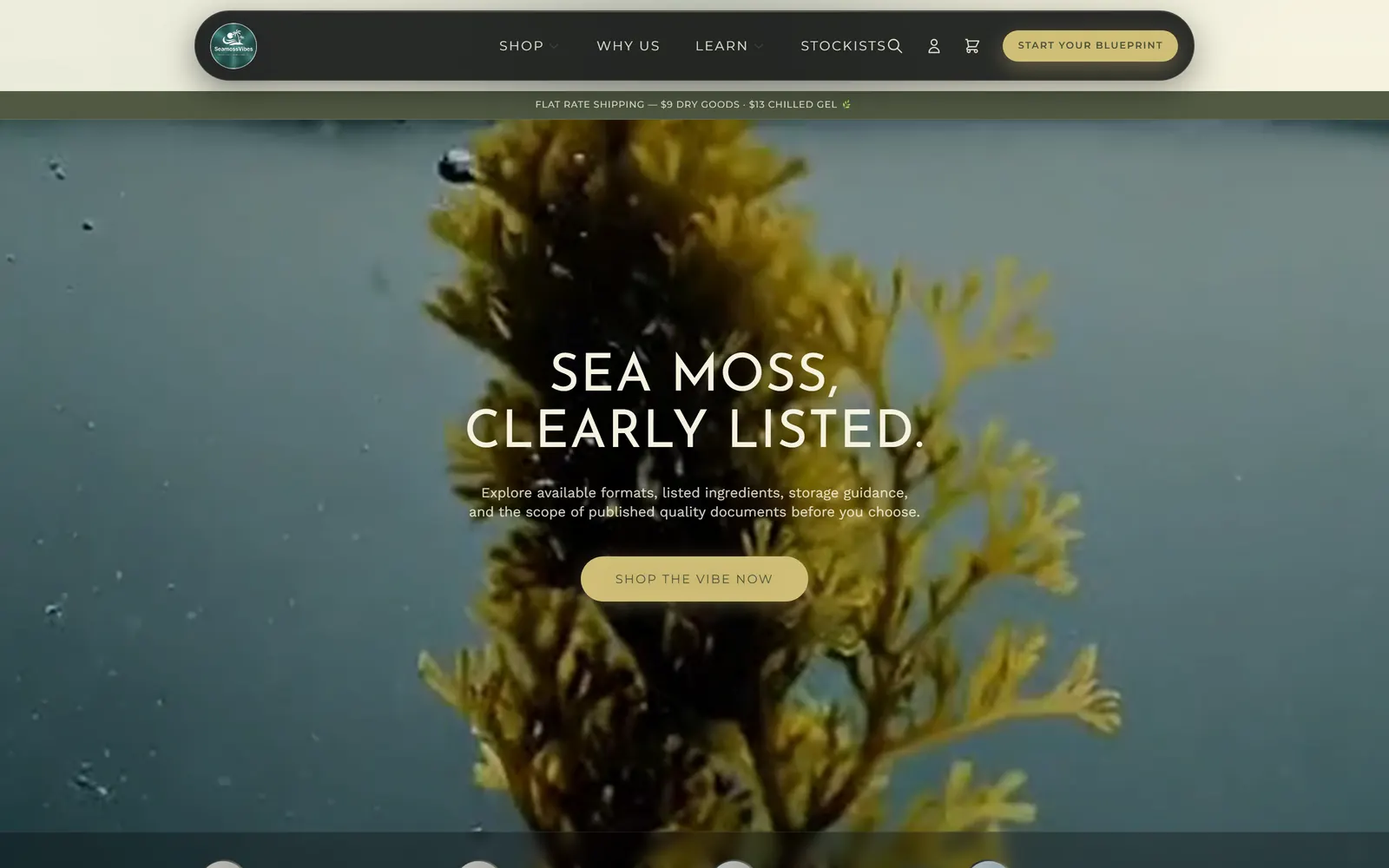 Sea Moss Vibes homepage on desktop